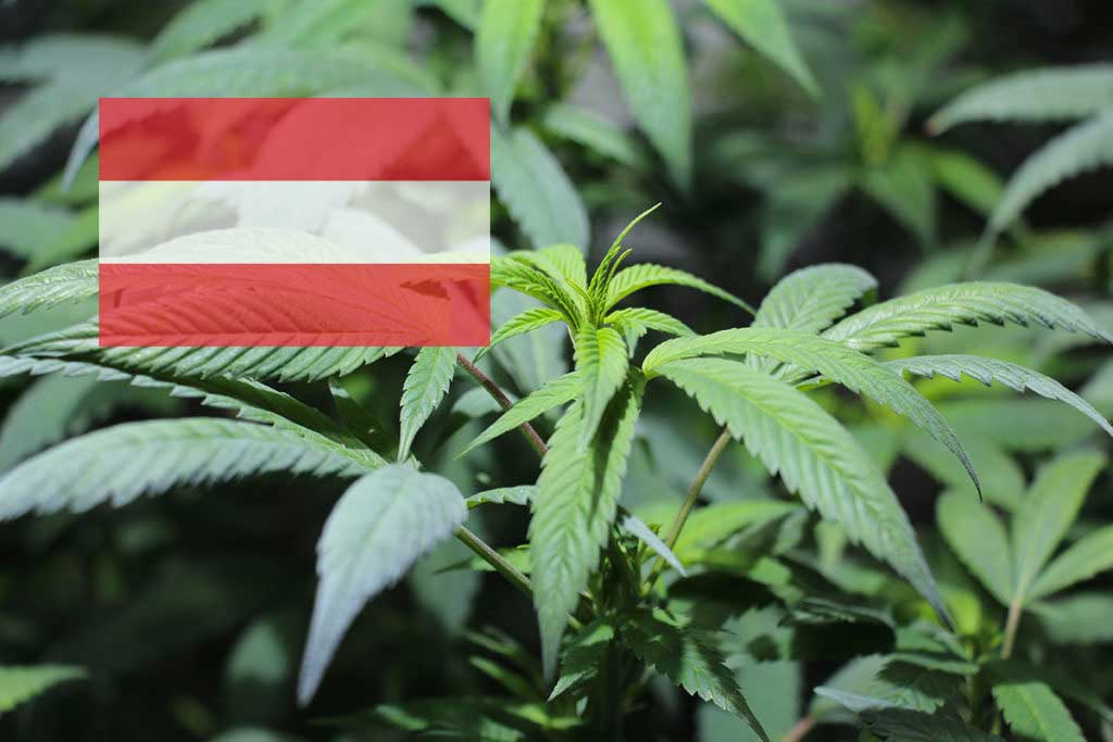 Wie legal ist Cannabis in Österreich?