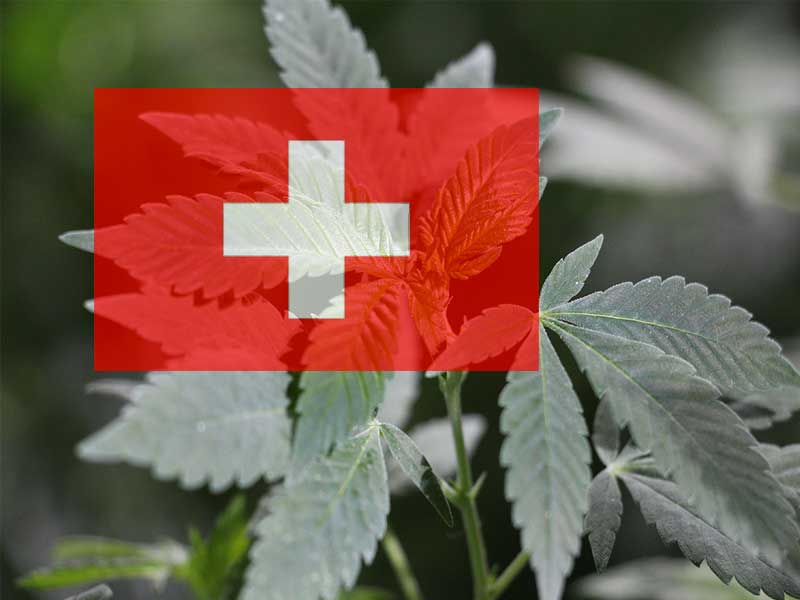 Schweizer Nationalrat stimmt gegen Hanfgesetz