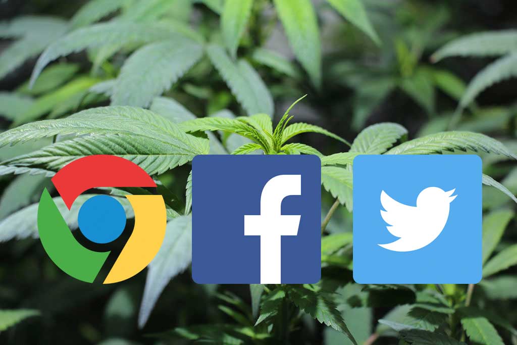 Online Werbung für Hanf & Cannabis - Vorsicht Zensur
