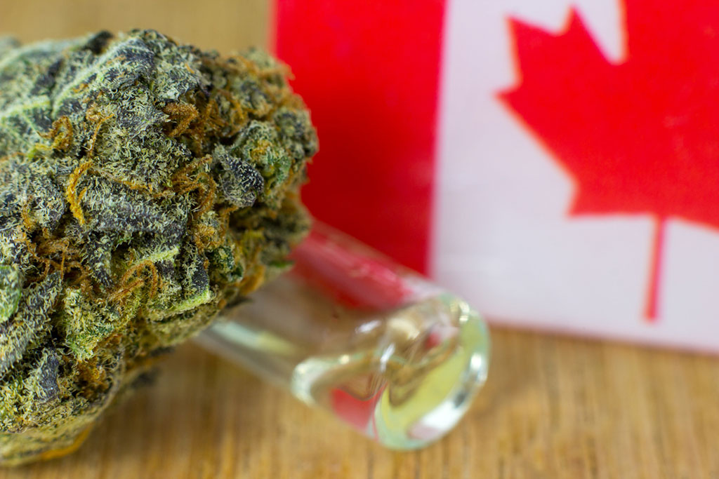 CannaMedical Pharma GmbH mit Lieferengpass: Anzeige in Kanada erfolgt
