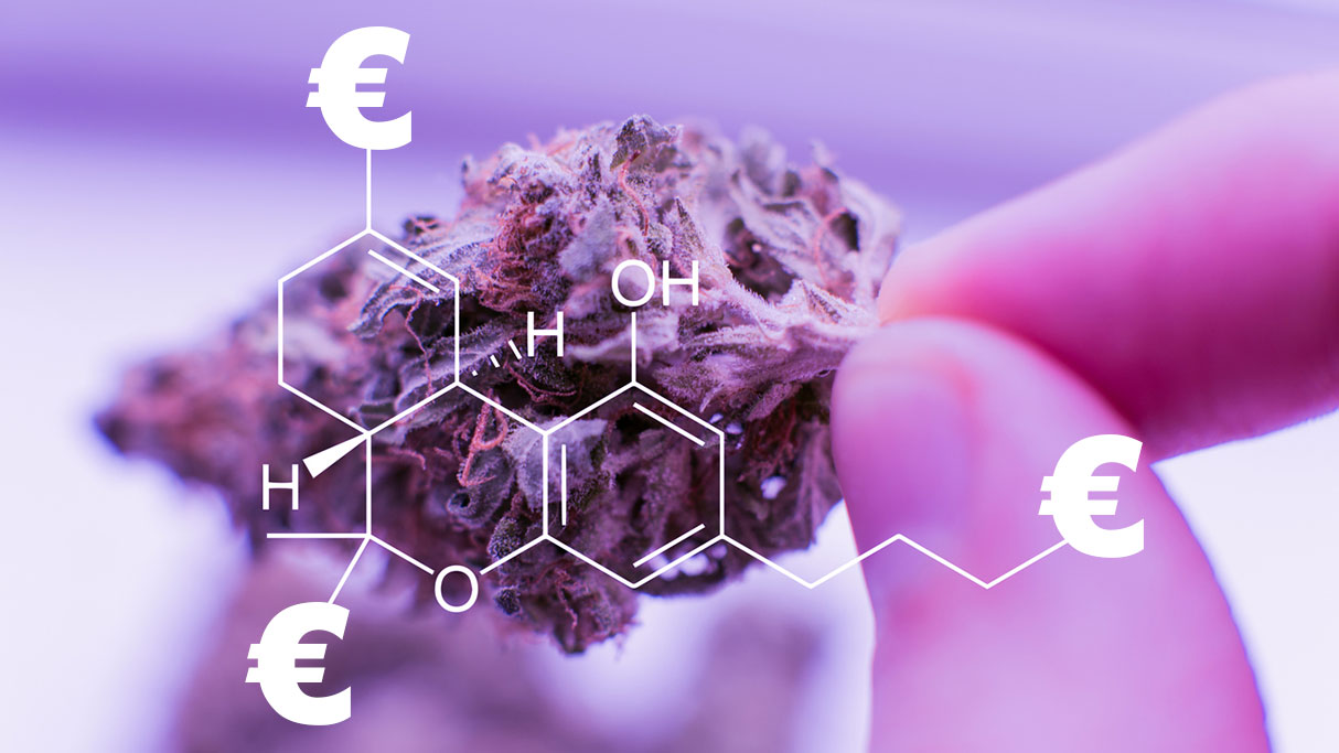 Studie: Legalisierung bringt 2,7 Milliarden Euro Steuereinnahmen jährlich