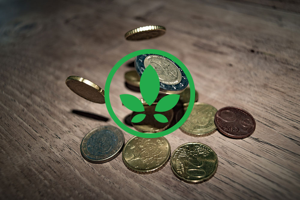 Wirtschaftsfaktor Cannabis: erste große Investitionen in Deutschland