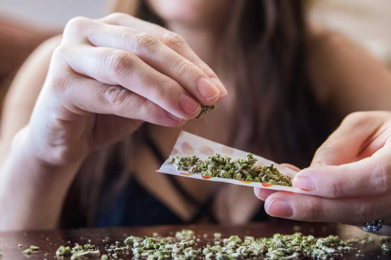 WHO: Neubewertung der Cannabis-Gefährlichkeit