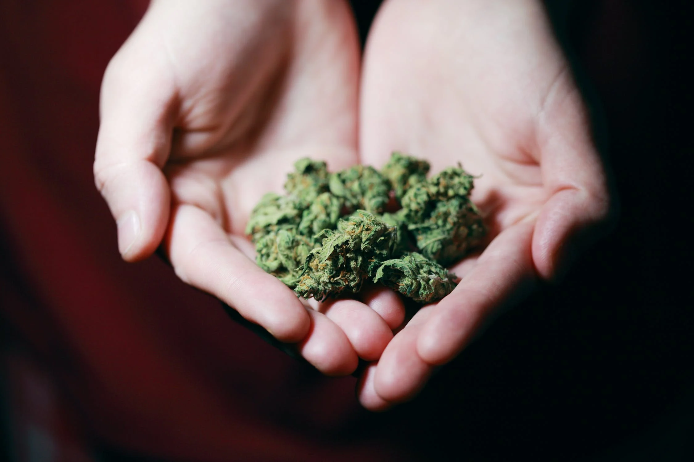 NRW-Städte wollen Cannabis-Modellregionen werden: Ein Blick auf Bewerber und Hürden
