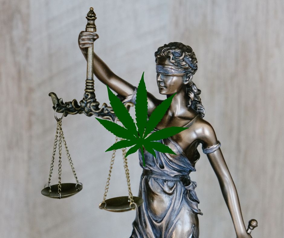 Ein neues Zeitalter für Cannabis in Deutschland: Eigenanbau und Legalisierung