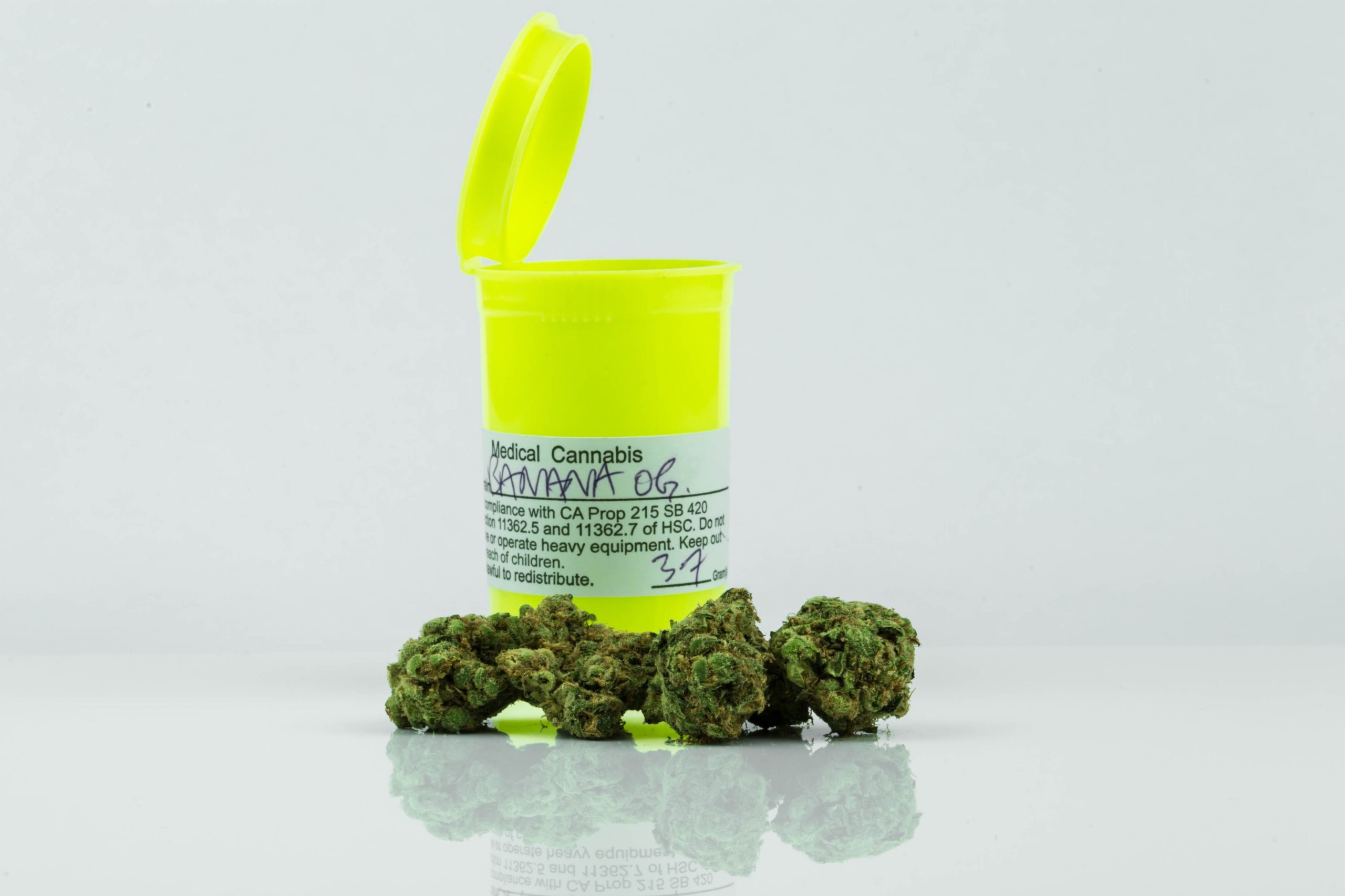 Cannabis – Die vielseitige Pflanze zwischen Rausch und Heilung