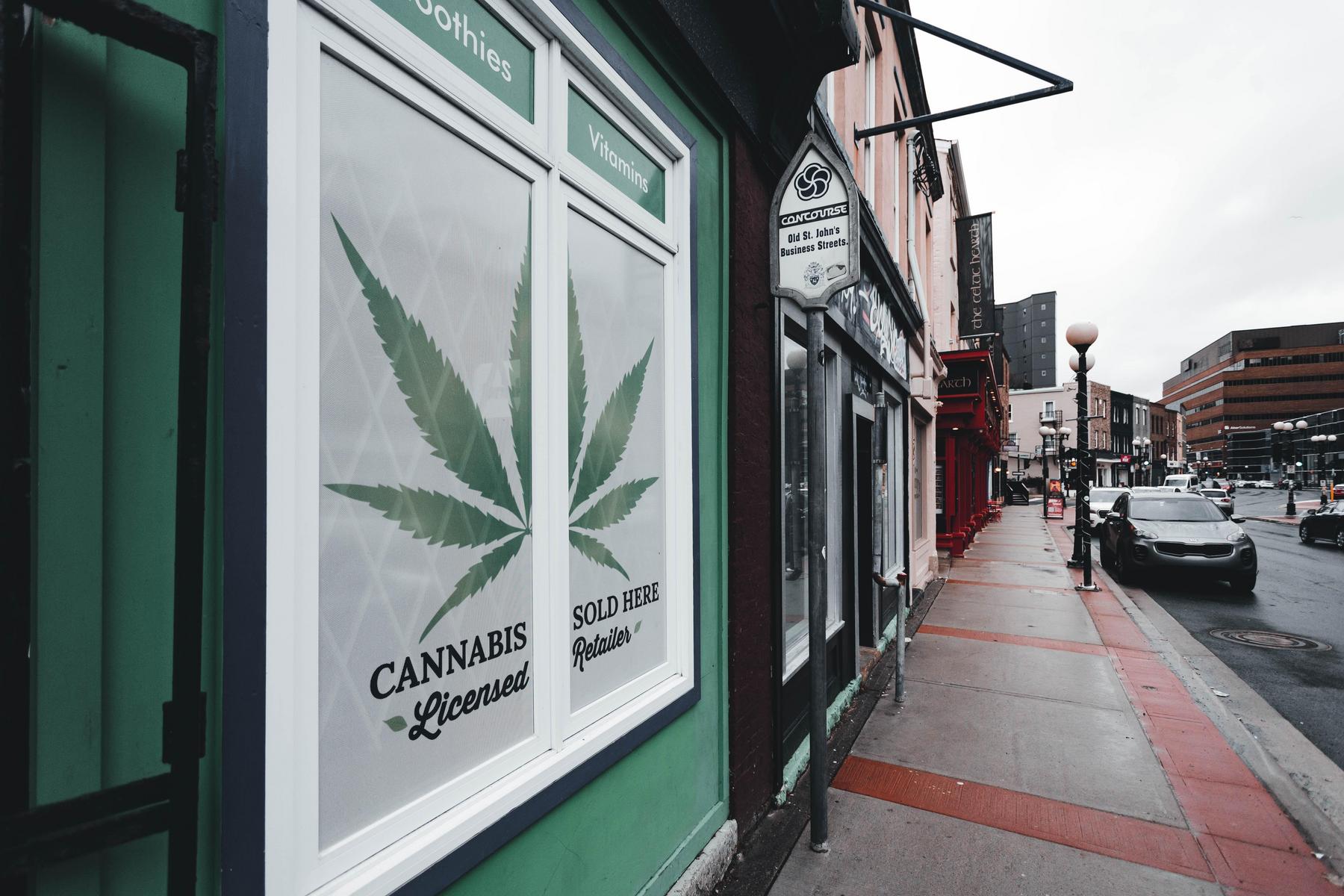Umfrage: Mehrheit der Cannabis-Firmen vor dem Aus