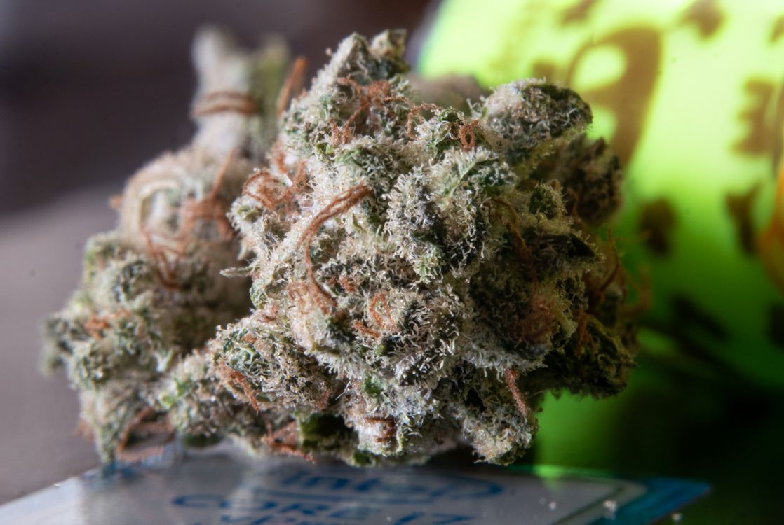 Foto von Yash Lucid – Cannabis gegen Parkinson