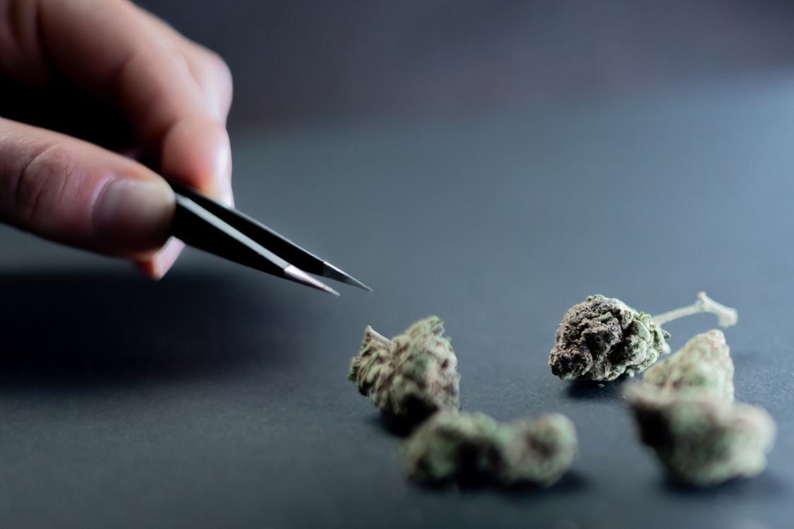 Foto von Kindel Media – Woher kommt das Weed vom Schwarzmarkt?