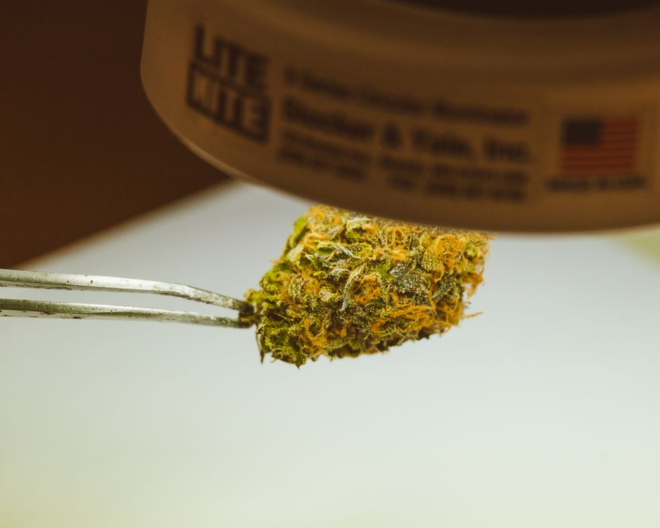 Foto von Jess Loiterton – Woher kommt das Weed vom Schwarzmarkt?