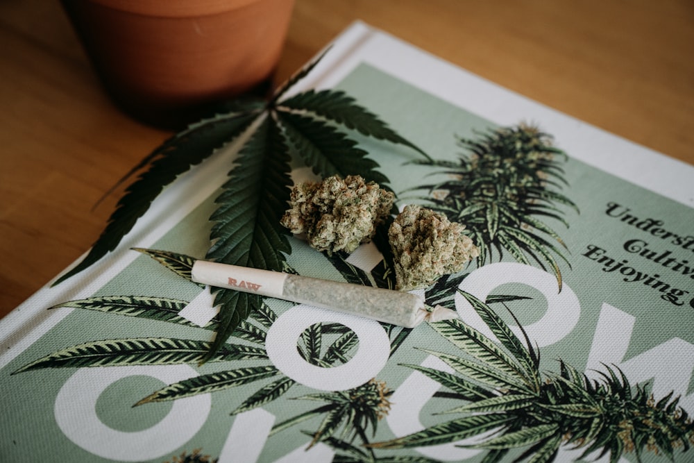 Bild zum Thema Was passiert wenn Ich aufhöre Cannabis zu rauchen?