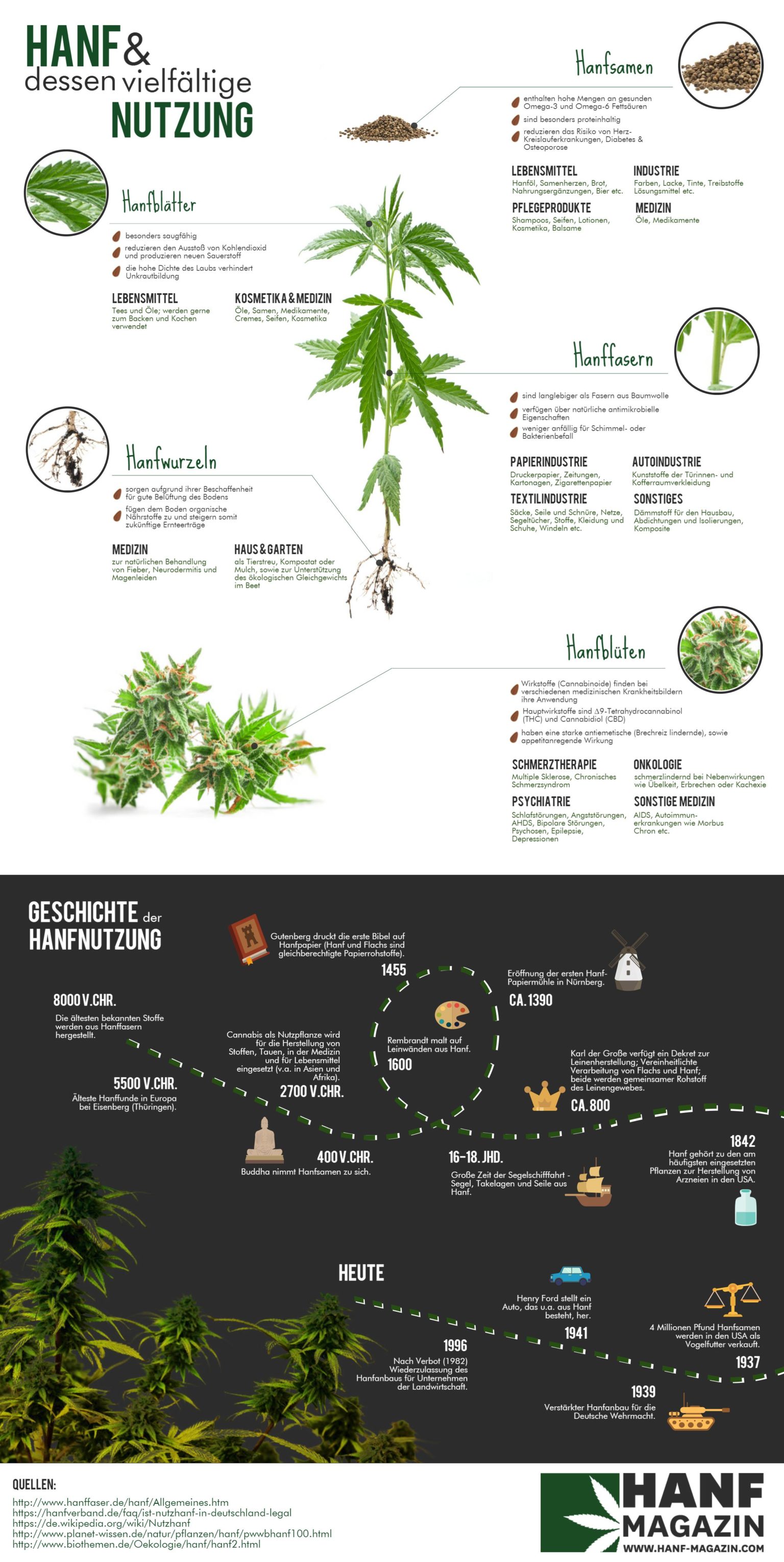 Hanf Infografik alles was Du wissen musst — Hanf Infografik alles was Du wissen musst —