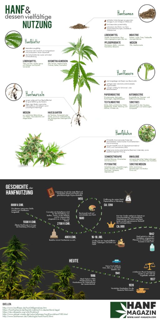 Hanf Infografik alles was Du wissen musst —