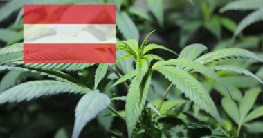 Ist Cannabis in Österreich legal?