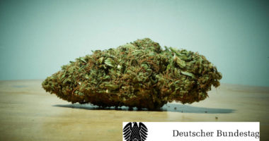 cannabiskontrollgesetz