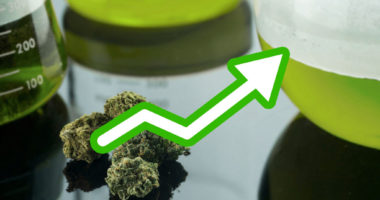 In Deutschland gibt es immer mehr Cannabis auf Rezept