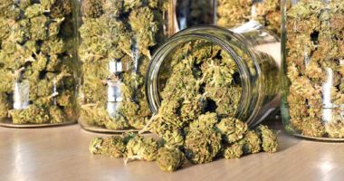 Legalisierung: In Kanada ist Cannabis legal