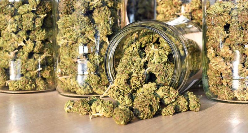 Legalisierung: In Kanada ist Cannabis legal