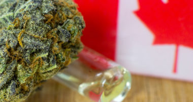 die CannaMedical Pharma GmbH beklagt Lieferverzug aus Kanada und erstattet Anzeige