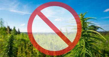 Warum ist Cannabis eigentlich verboten?