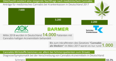 Infografik medizinisches Cannabis in Deutschland