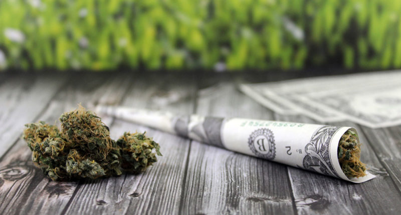 Cannabis Steuereinnahmen in den USA auf Rekordhoch