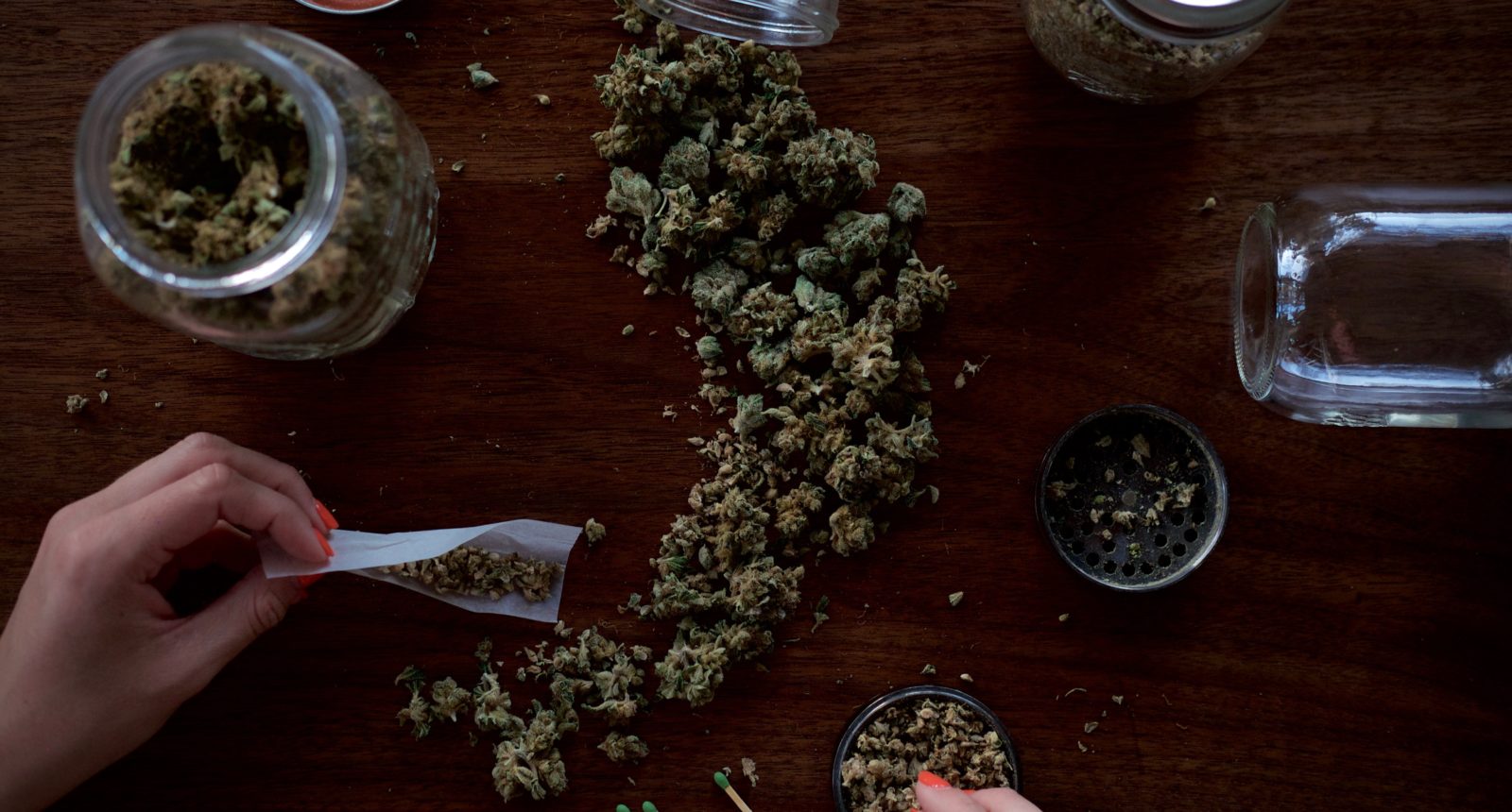 Cannabis trocknen Schritt für Schritt —