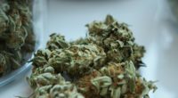 GdP kritisiert Cannabis-Gesetzentwurf: Polizei erwartet Mehrbelastung