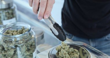 Regeln für Gras auf Rezept sollen lockerer werden