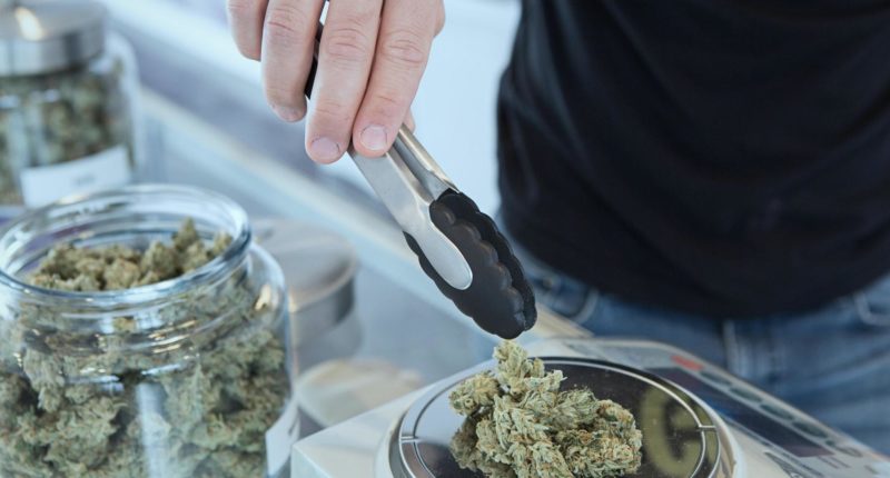flowzz startet in den deutschen Markt für medizinisches Cannabis