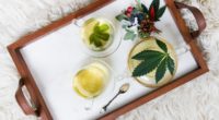 CBD hilfreich bei Herzkrankheiten durch Adipositas?