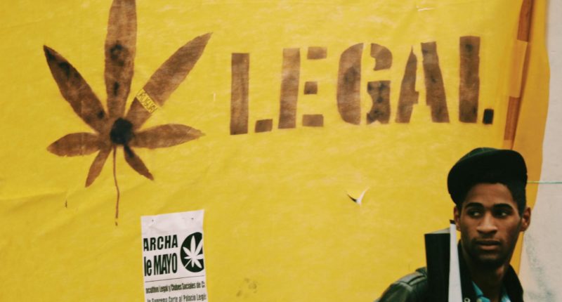 Legalisierung von Cannabis: Auswirkungen auf die Volkswirtschaft