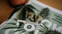 Verzögert sich der Termin für die Cannabis-Legalisierung?