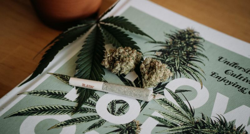Verzögert sich der Termin für die Cannabis-Legalisierung?