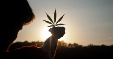 CANNABIS-LEGALISIERUNG BESCHLOSSEN: DAS GILT KÜNFTIG BEI BESITZ, KONSUM UND KAUF