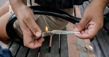 FAQ Cannabis-Legalisierung: Was wird erlaubt, was bleibt verboten?