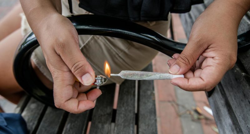 FAQ Cannabis-Legalisierung: Was wird erlaubt, was bleibt verboten?