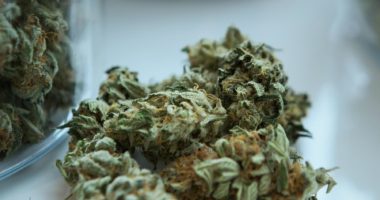 Geplantes Cannabis-Gesetz: Zu Besuch in einem Headshop in Münster