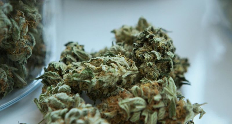 Geplantes Cannabis-Gesetz: Zu Besuch in einem Headshop in Münster
