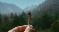 Wo das Cannabis-Gesetz kiffen in Hamburg erlauben könnte