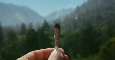 Wo das Cannabis-Gesetz kiffen in Hamburg erlauben könnte